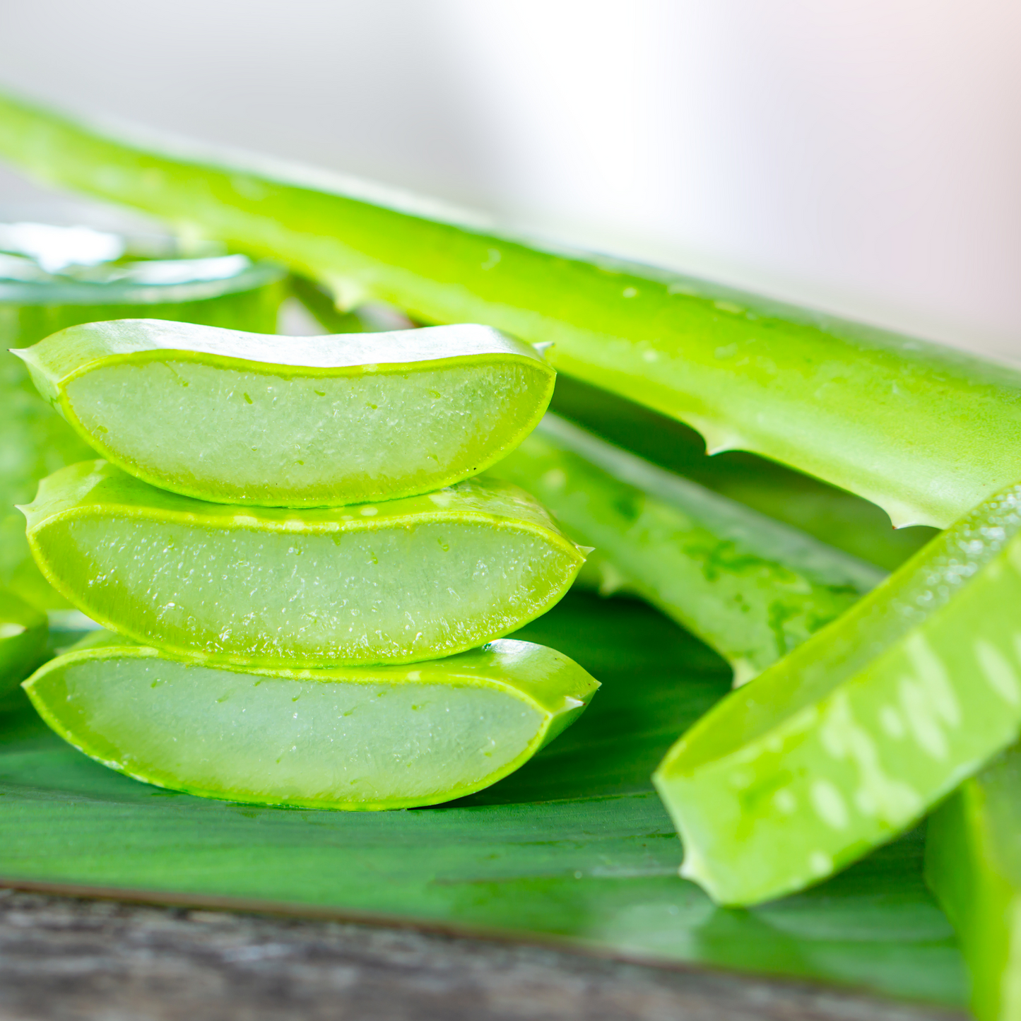 EPIKOA LOZIONE PRE EPILAZIONE ALOE VERA elimina i residui dalla pelle 250ml